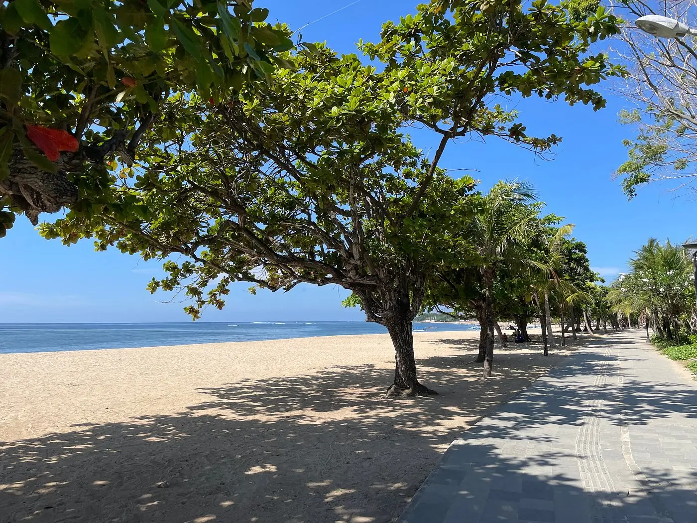 A scenic view of Segara Ayu Beach, one of Sanur Beaches, with a row of lush green trees providing shade along a pathway, golden sand, and a clear blue sky over calm ocean waters.