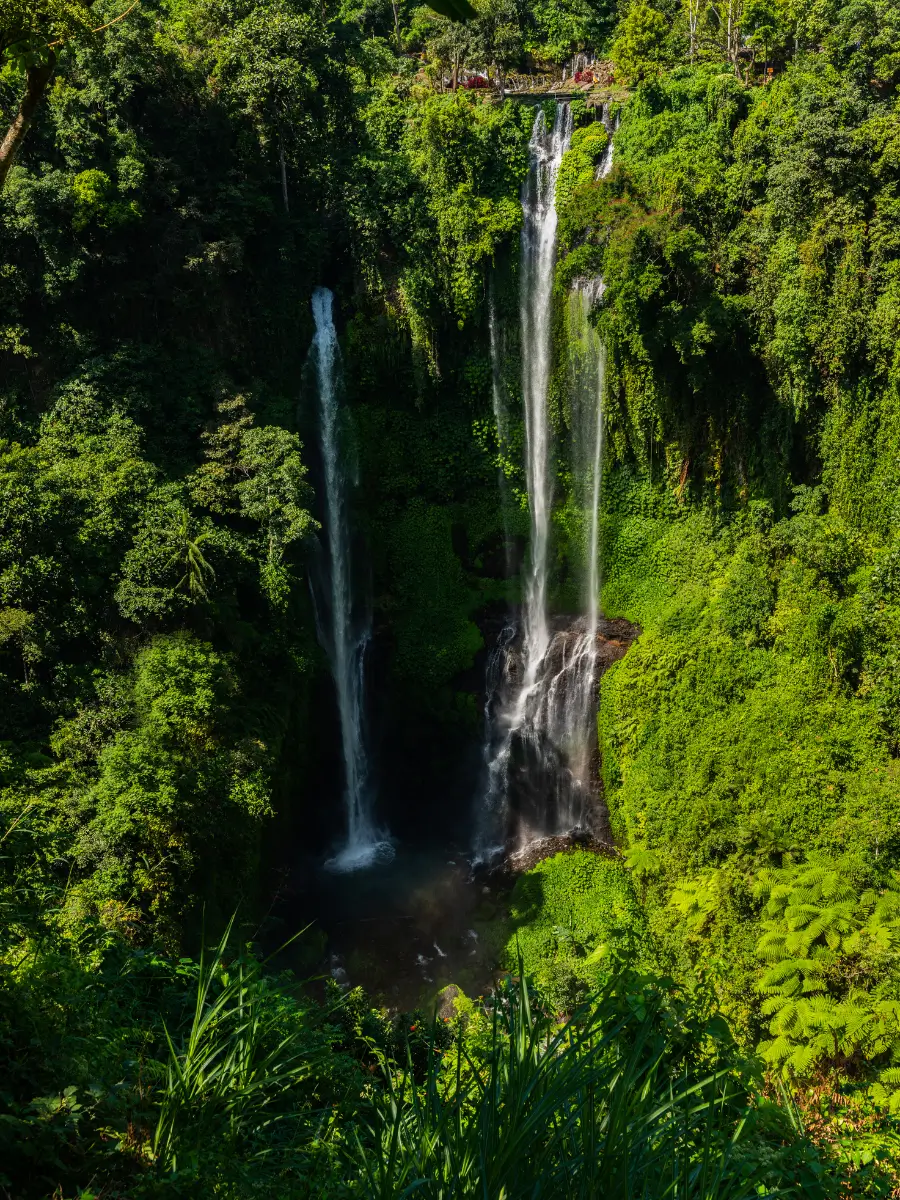 Sekumpul waterfalls cascade down a lush, green mountainside into a hidden pool below. Surrounded by dense vegetation, the waterfalls create a dramatic and serene natural scene in the heart of a tropical forest.