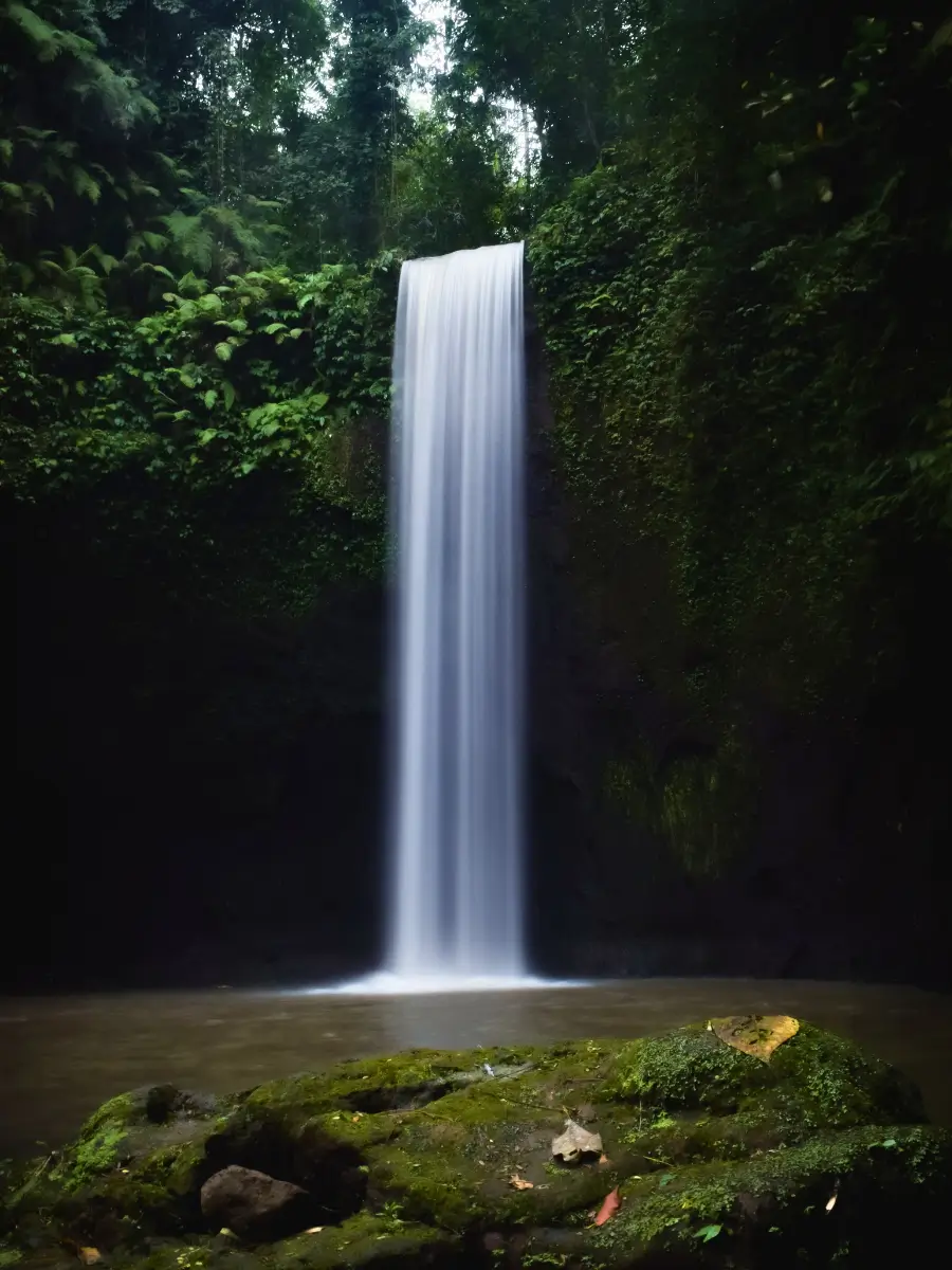 Tibumana waterfall cascades into a calm pool surrounded by lush, green foliage, creating a tranquil scene. The water gently flows down a rocky cliff, enveloped by dense plant life. Tibumana is one of the best waterfalls around Ubud.