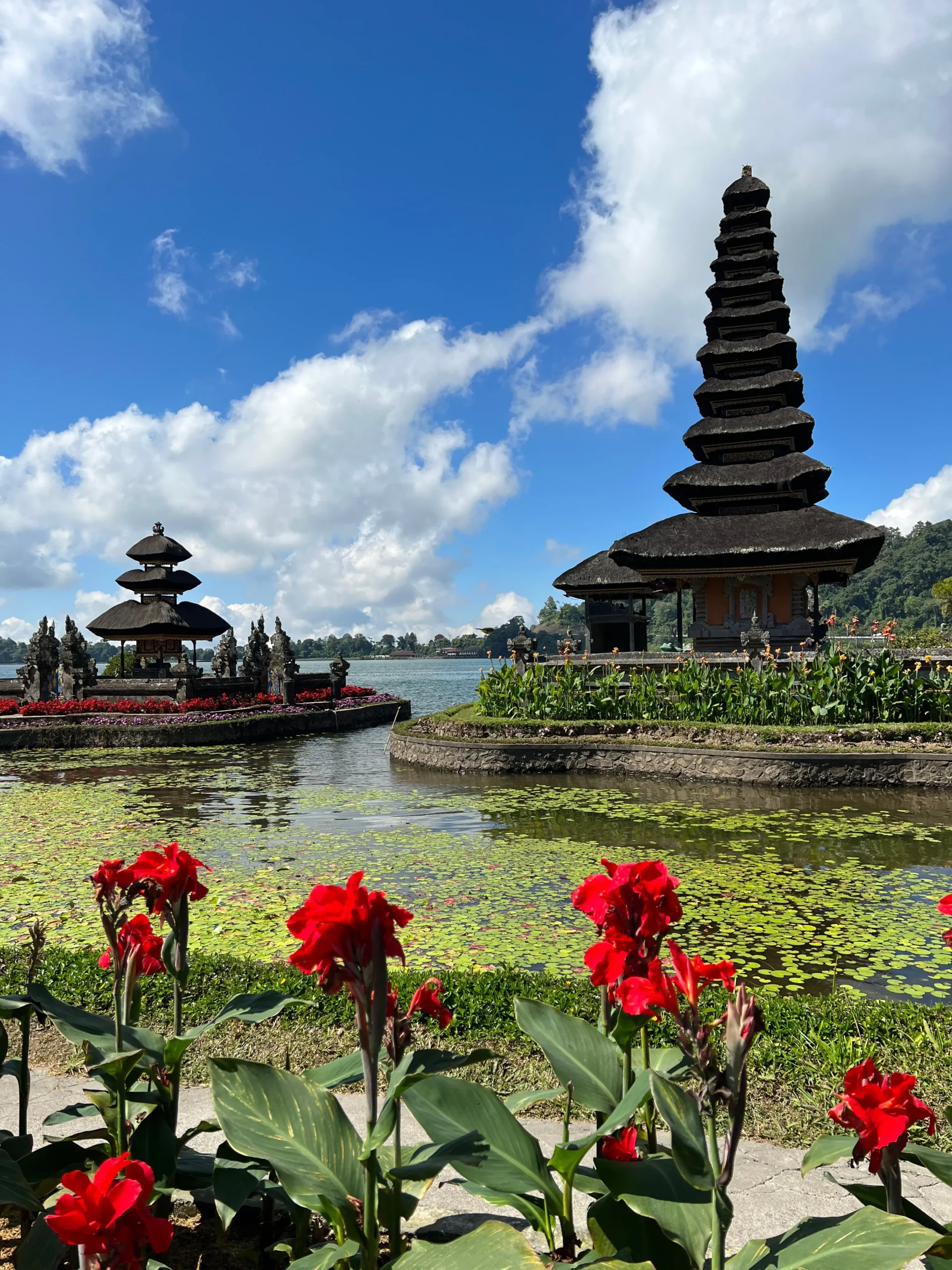 Read flowers and the two temples on a lake in Ulan Danu Beratan