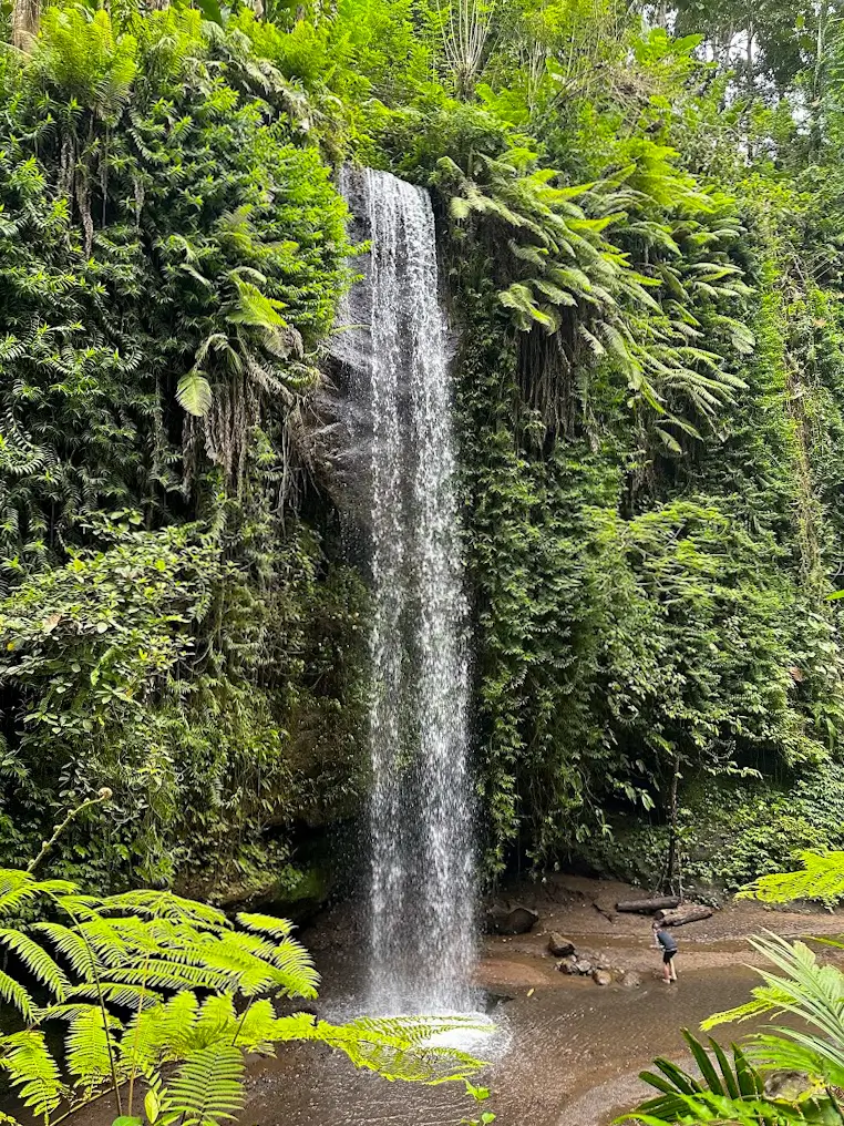 Yesh Bulan waterfall in the middle of a wall filled with ferns and other forest plants.