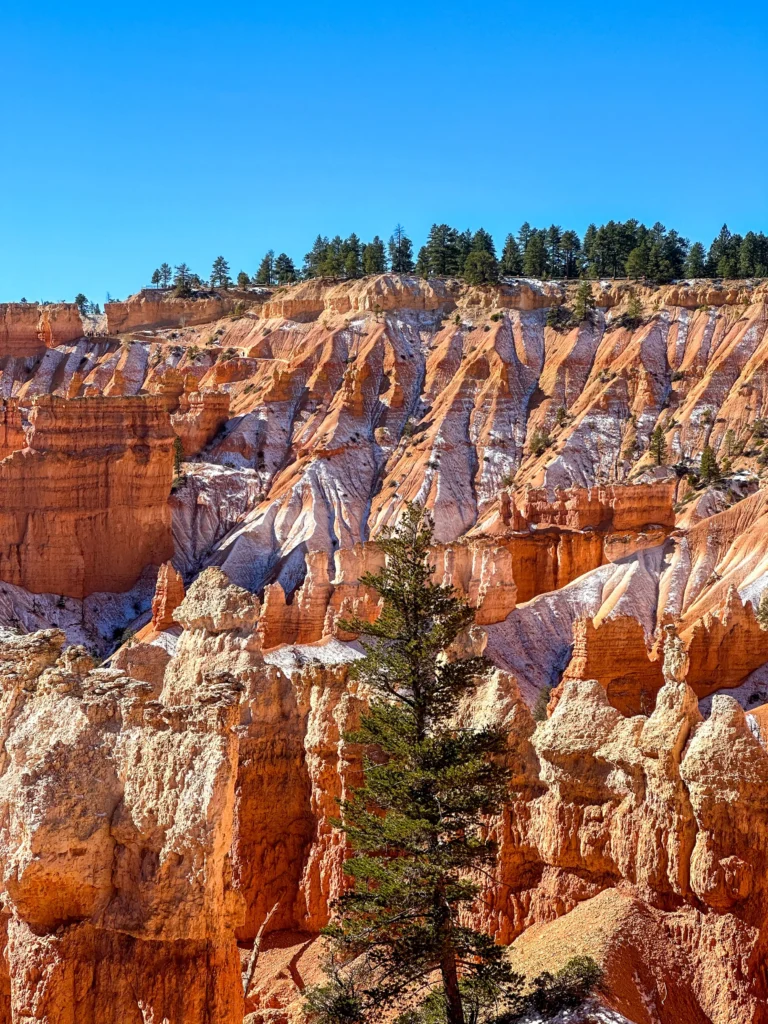 Bryce Canyon in November: Everything You Need To Know