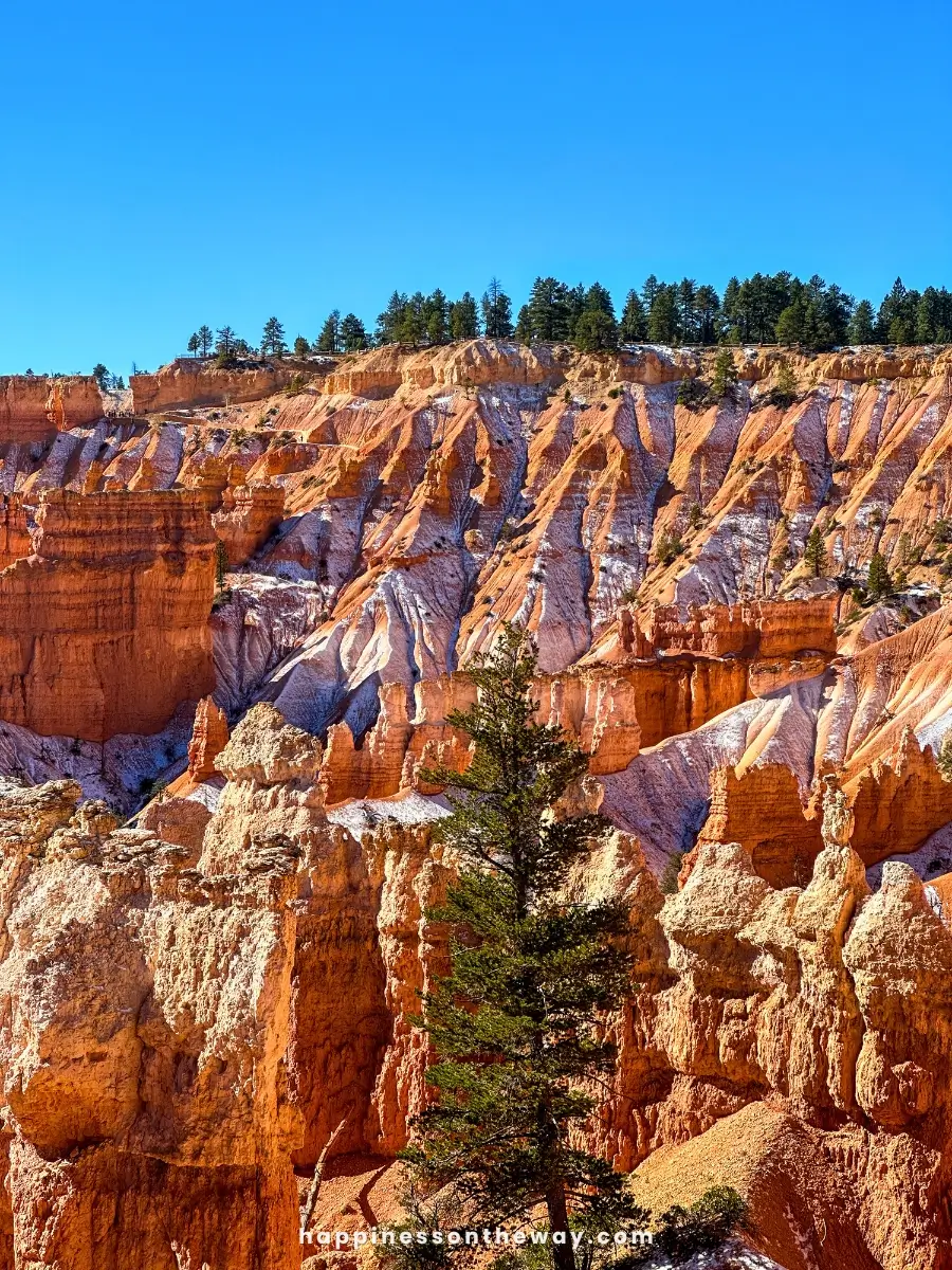 Close-up of Bryce Canyon's iconic hoodoos with light snow dusting the ridges, set against a vibrant blue November sky.