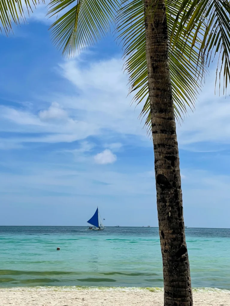 Lumot Season in Boracay: Best Times to Avoid Green Algae