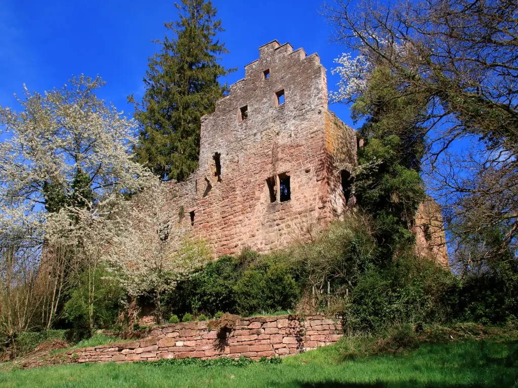 A wall of a ruined castle in Zavelstein