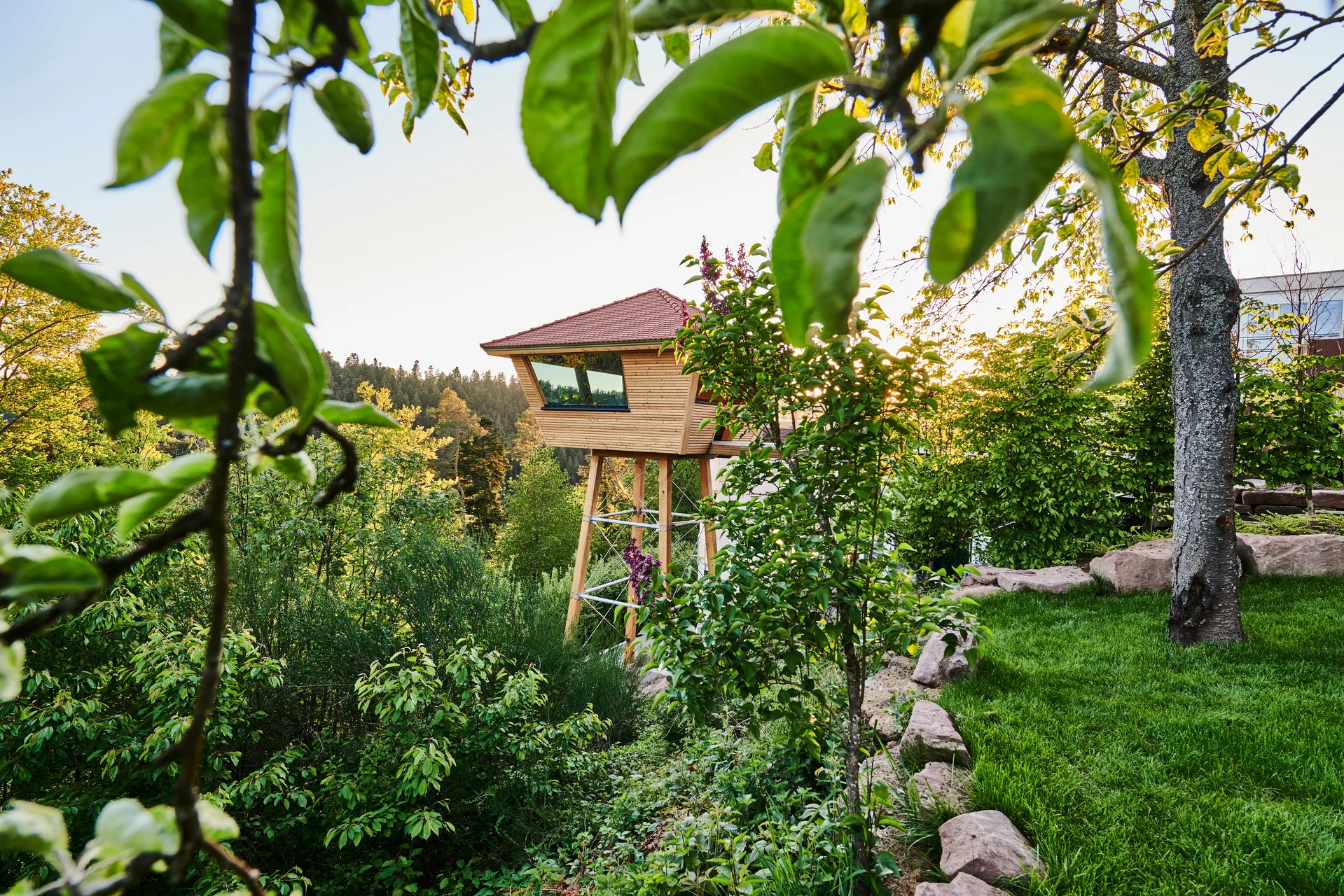 A wooden sauna in the middle of greenery with the view of the Black Forest