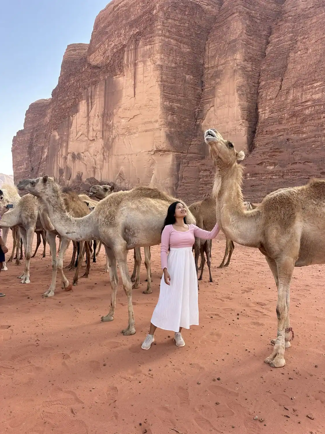 Me in a pink top and white skirt stands among a group of camels, gently touching one, with towering red rock cliffs rising behind her in a desert landscape.