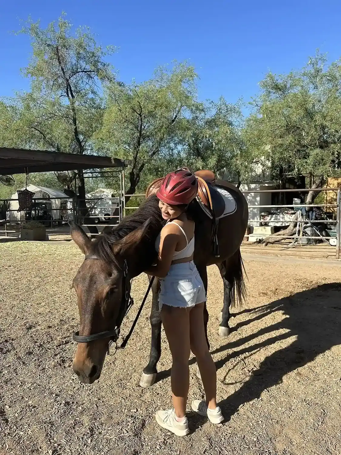 Traveler hugging a horse while volunteering at a farm.