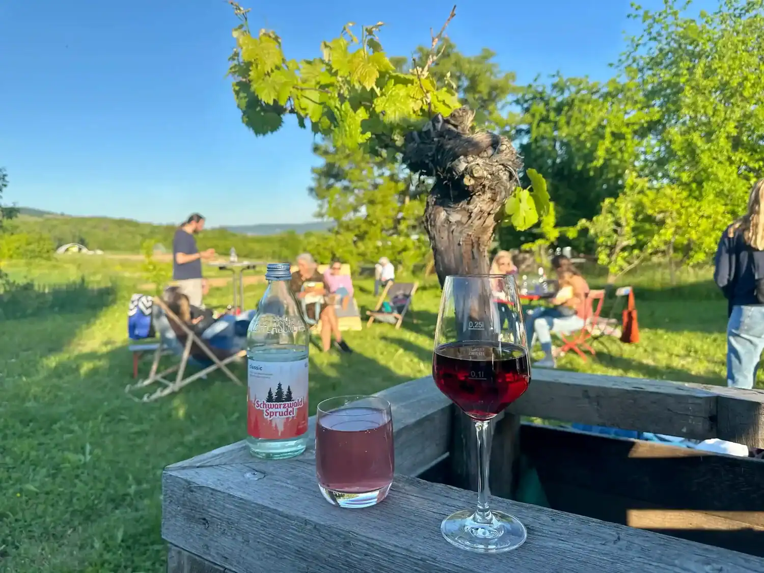 Sipping wine in a vineyard meadow while connecting with people under the afternoon sun.