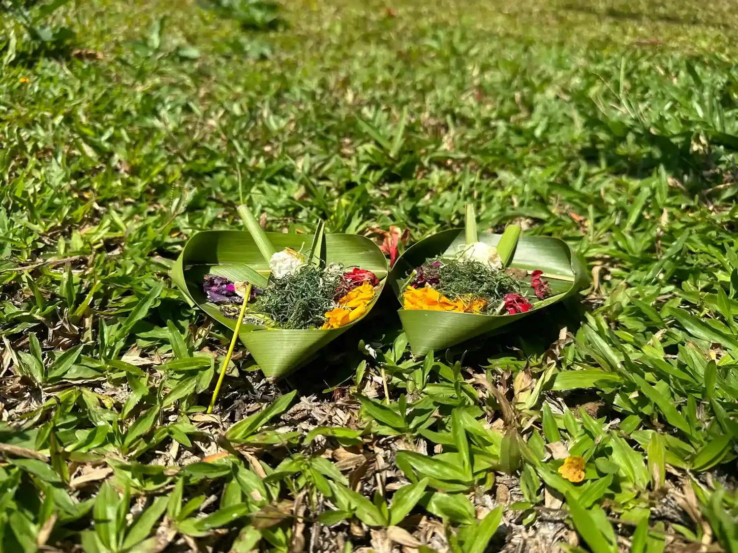 Balinese flower offerings