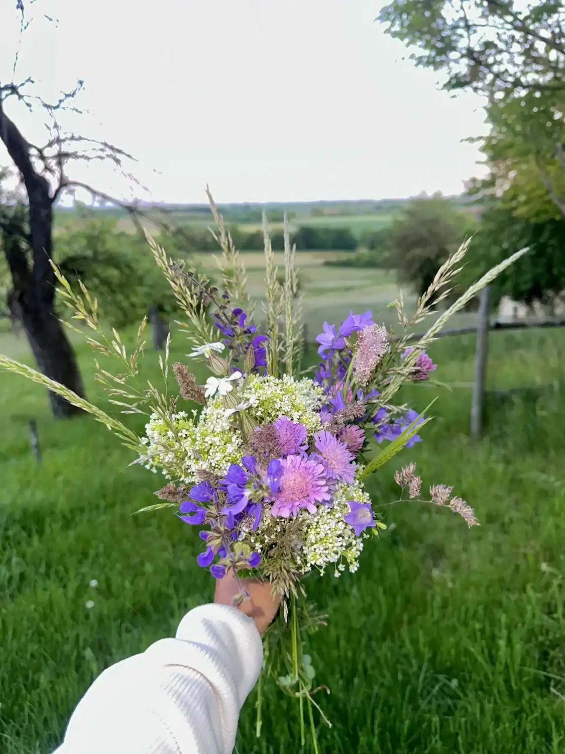Picking wildflowers in a quiet German meadow with views of the countryside.