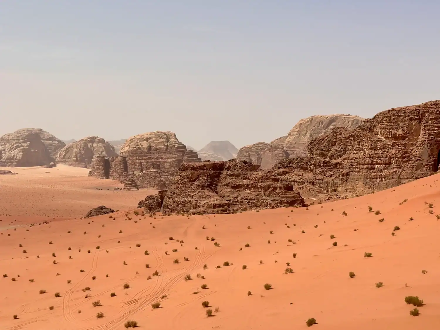 Expansive view of Wadi Rum desert in Jordan, featuring red-orange sand dunes dotted with sparse vegetation and surrounded by towering, rugged rock formations.