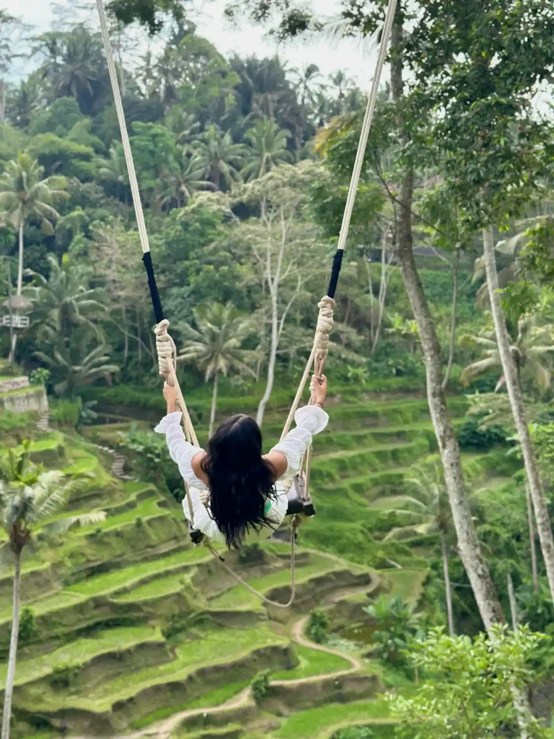 A woman in a white outfit swings high above the lush, terraced rice fields of Tegallalang in Bali.