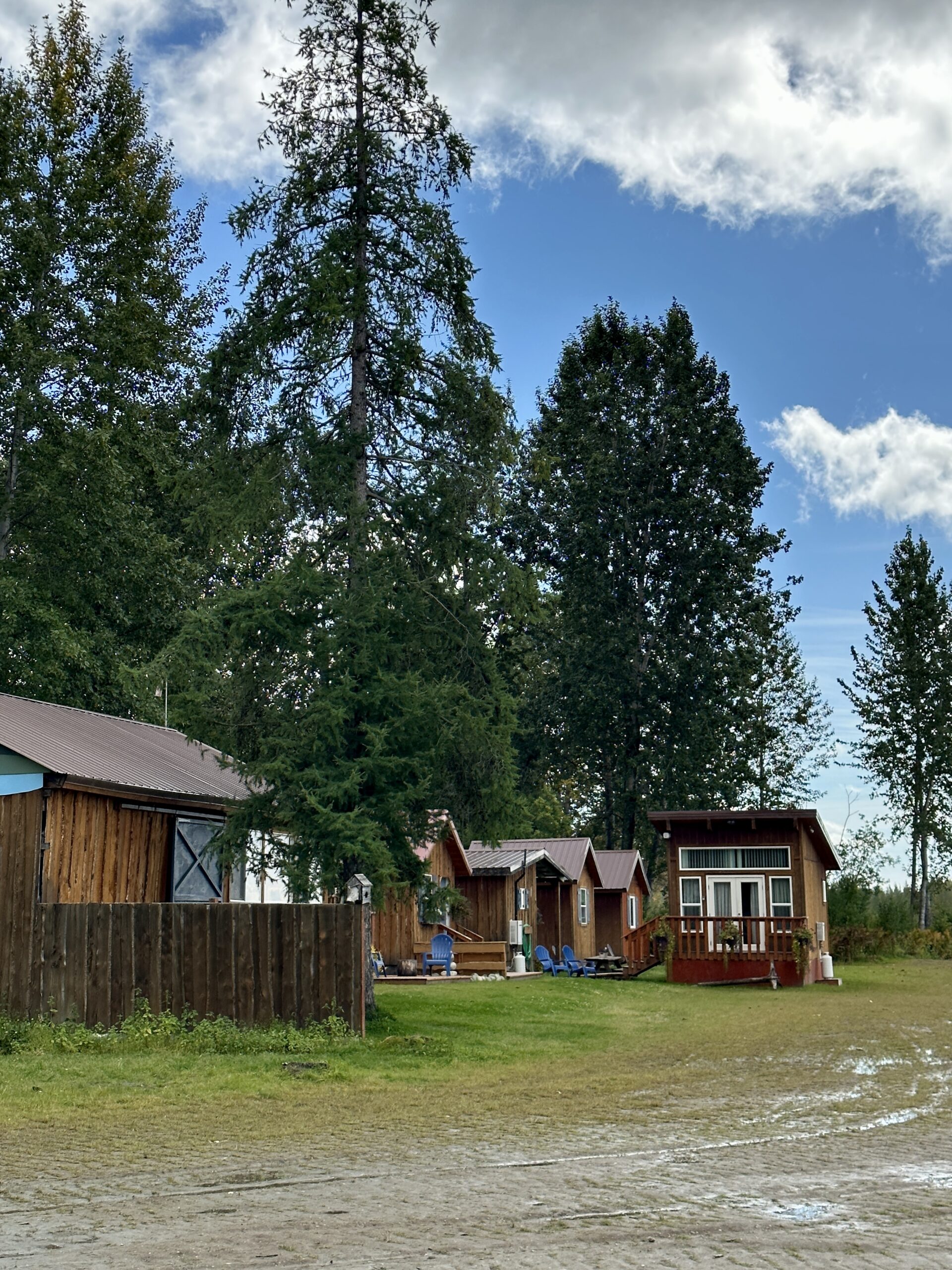 An image of spruce trees partly covering the wooden cabins from Cache Cabins, one of the most affordable places to stay in Talkeetna.