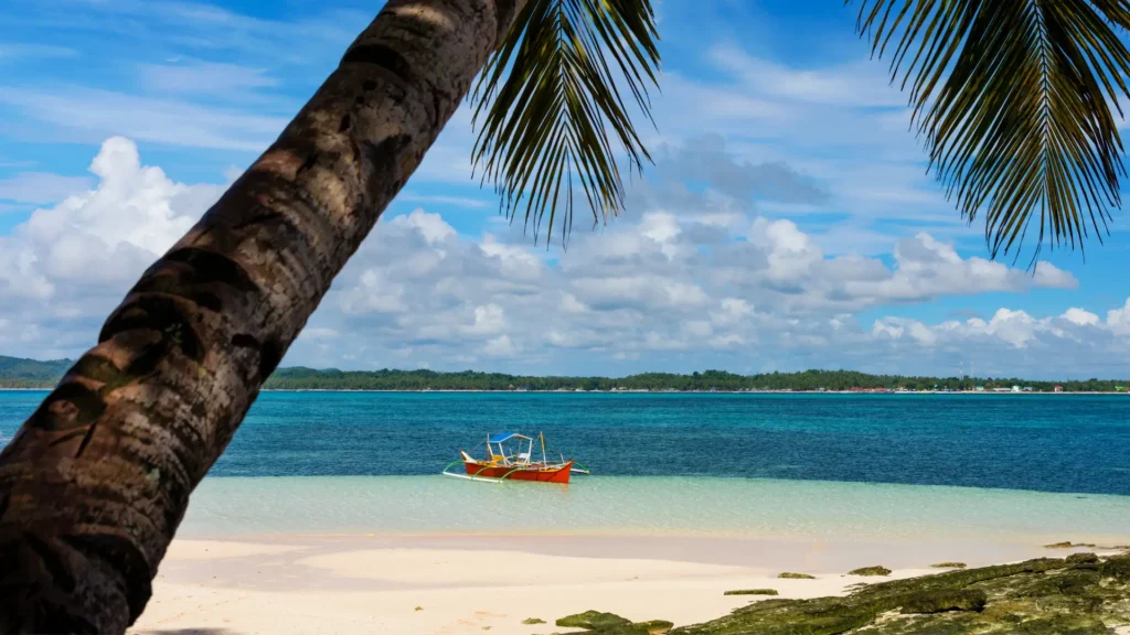 A small wooden boat floating near the white sand shore of Guyam Island, framed by palm tree leaves with blue ocean and sky in the background.
