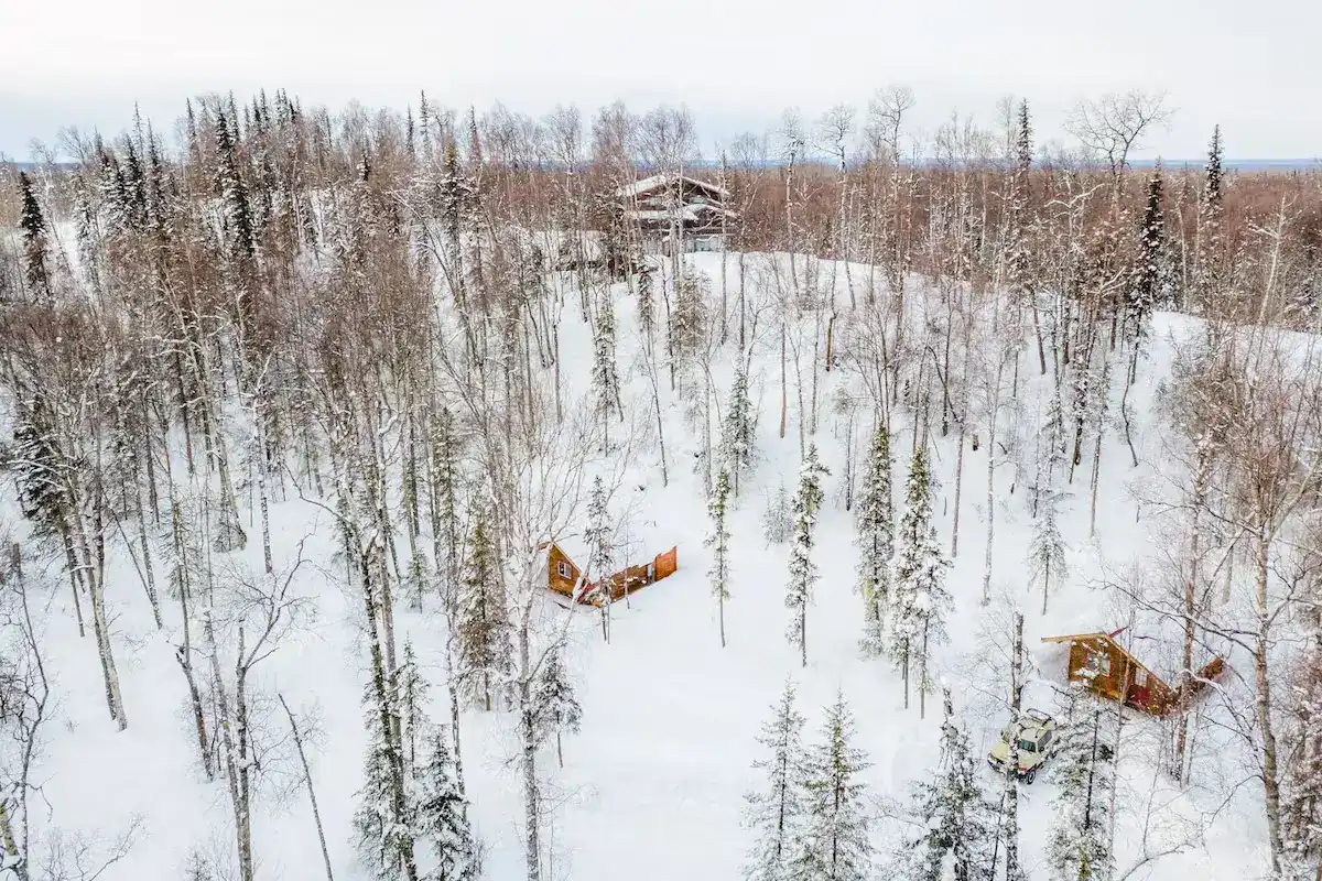 Snow drapes over the forest and sister cabins, Spruce and Birch, in Talkeetna.