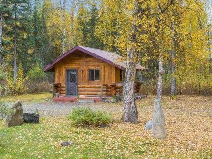 A rustic wooden cabin surrounded by autumn trees and fallen leaves at Talkeetna Fireweed Cabins in Alaska.