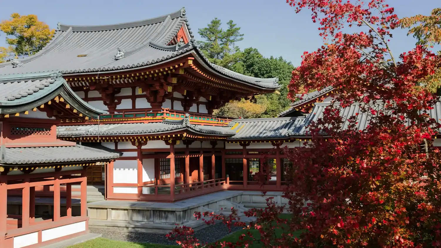 A red and white temple building with curved tiled roofs and a tree with red leaves in front.