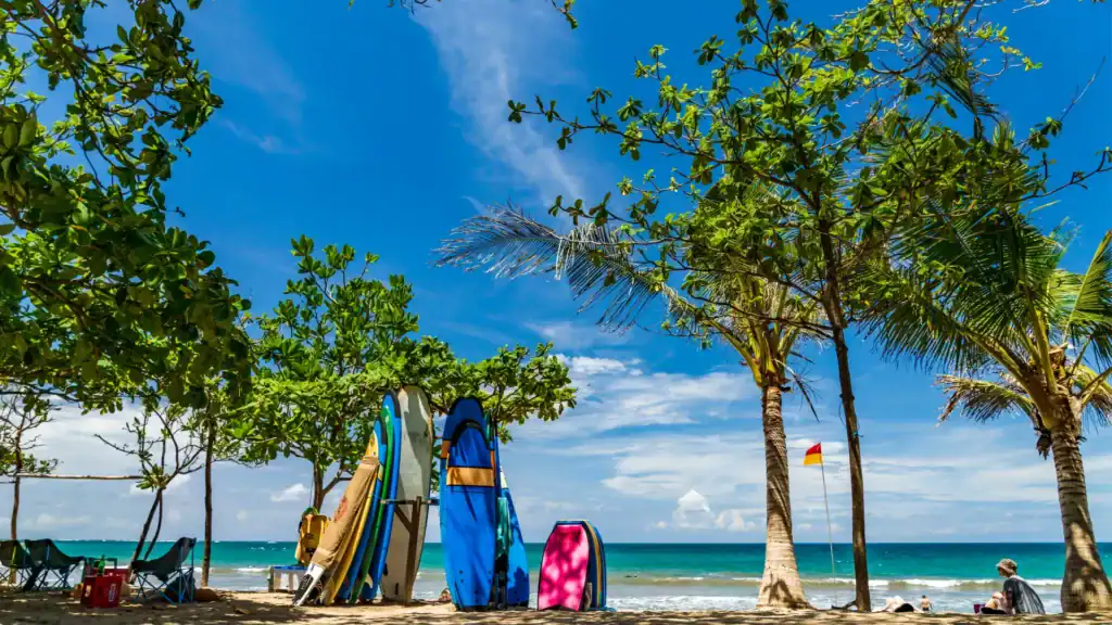 Surfboards lined up under palm trees at Dreamland Beach, Bali.