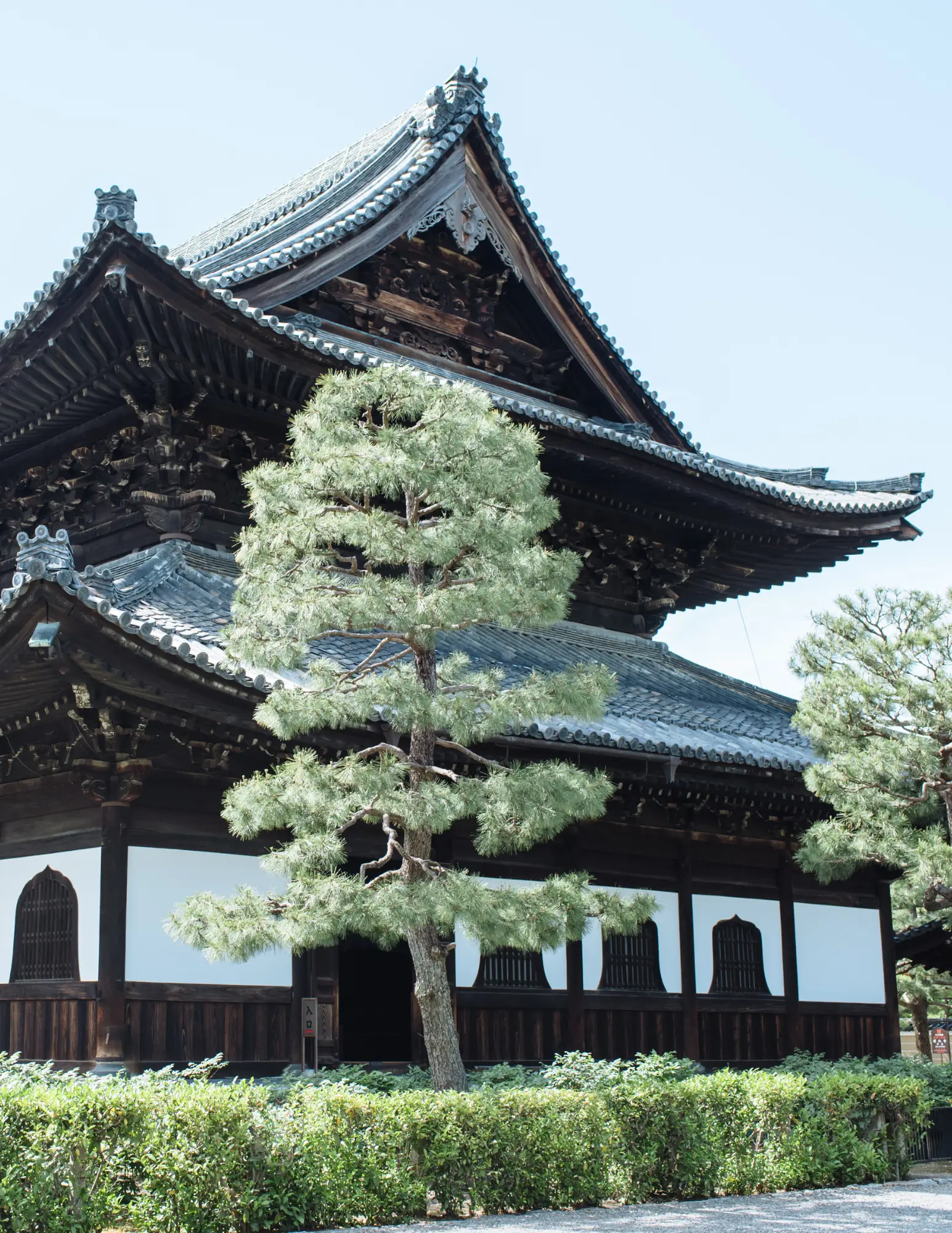 Kenninji Temple in Kyoto with its dark wooden structure, white walls, and surrounding green trees on a clear day.