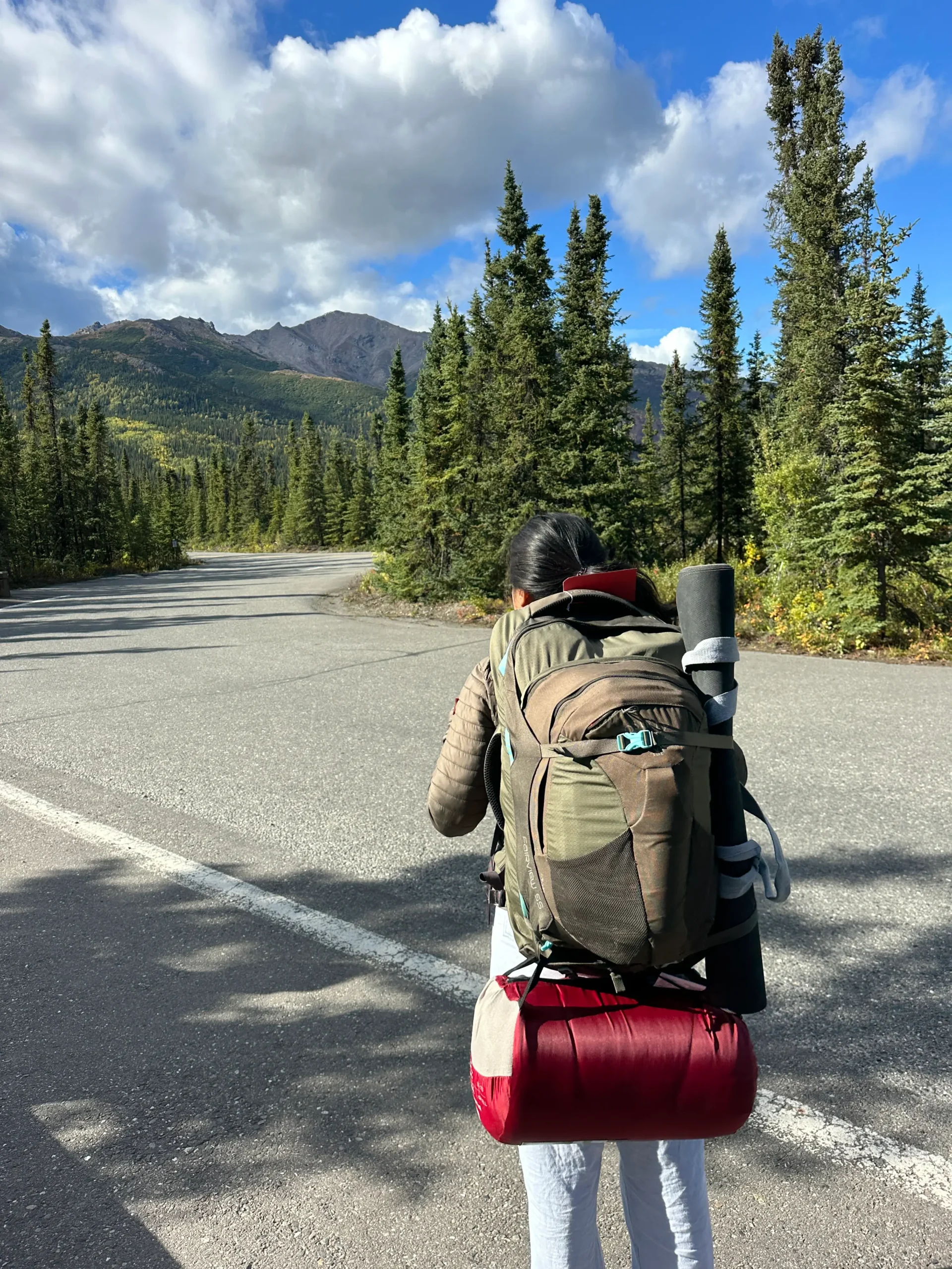 The back of a woman carrying a large green backpack while on a road surrounded by pine trees.
