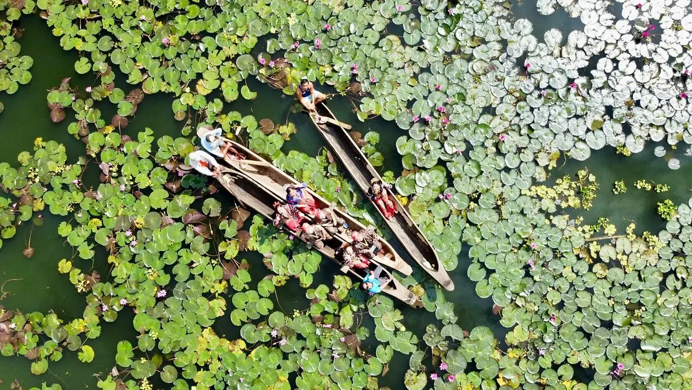 Two canoes with passengers glide along Lake Sebu, which is almost completely covered in lily pads and lotuses.