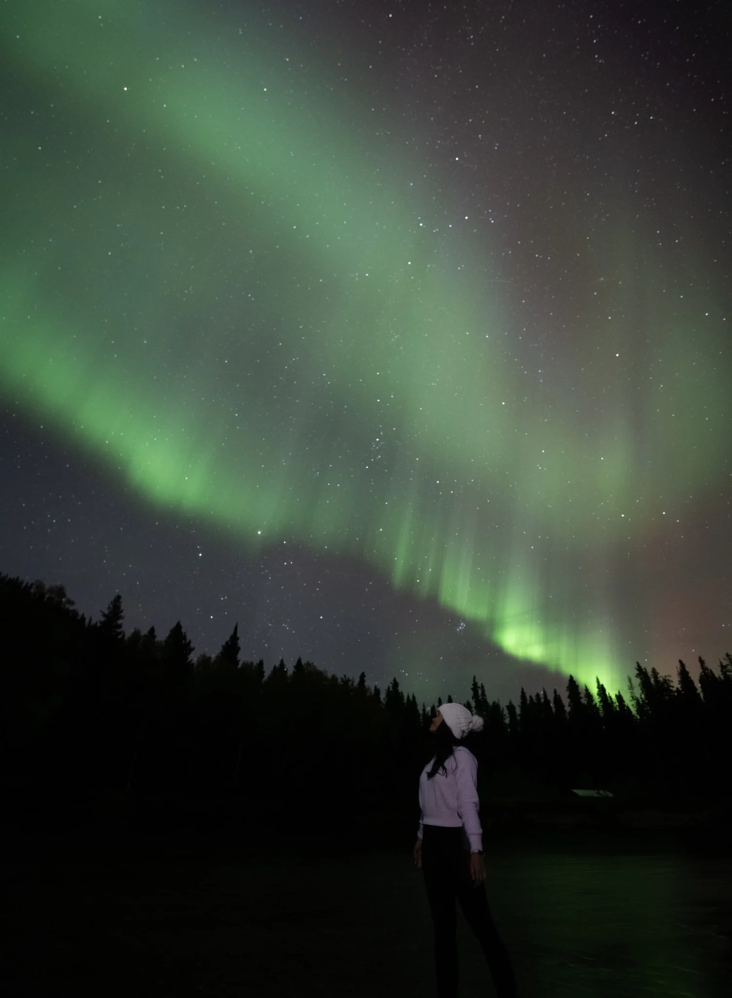 The sky over a forest is lit green due to the northern lights, while a woman stands and stares up at the spectacle.