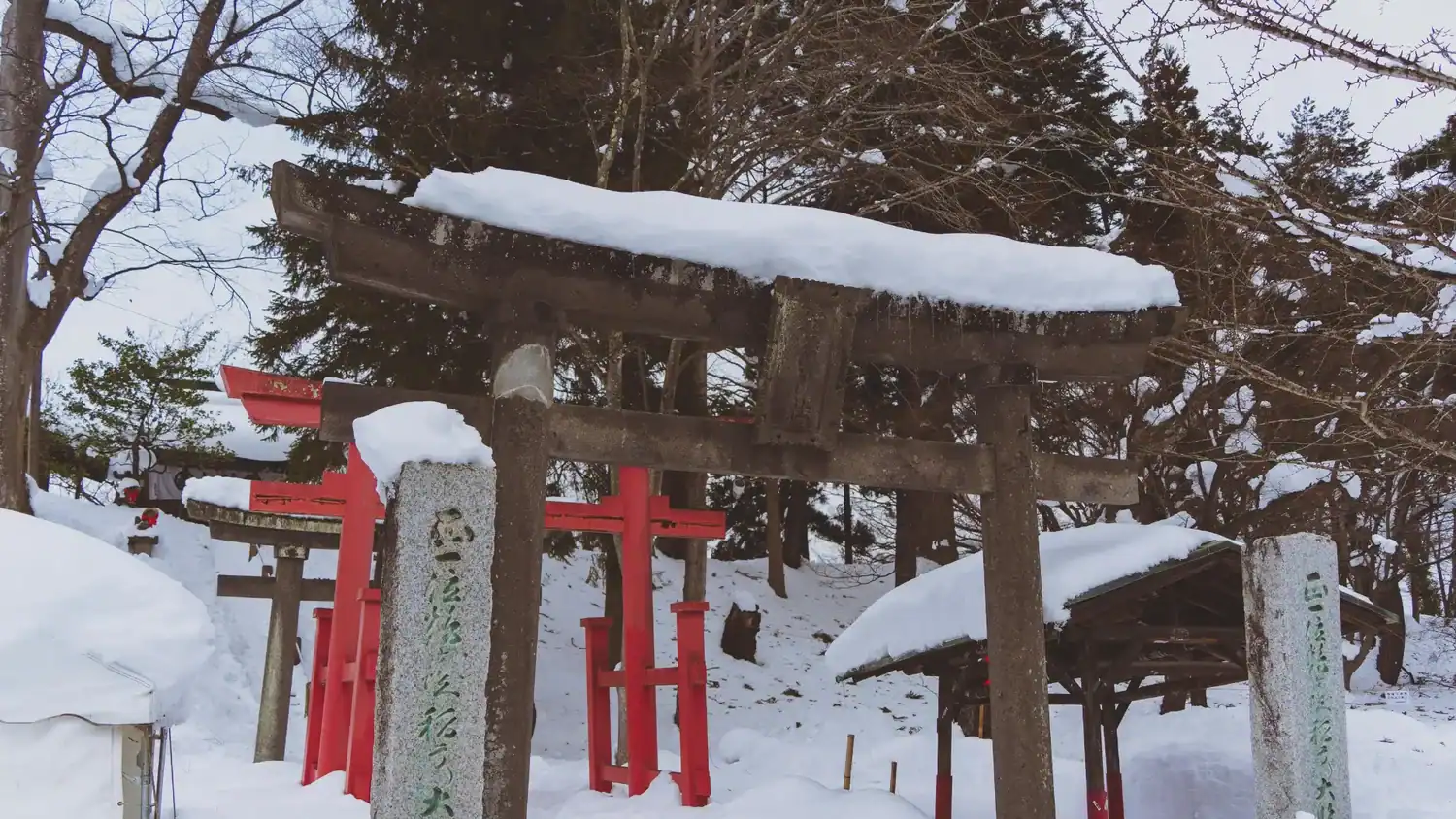 Snow covered torii gates in a forested shrine area during winter.
