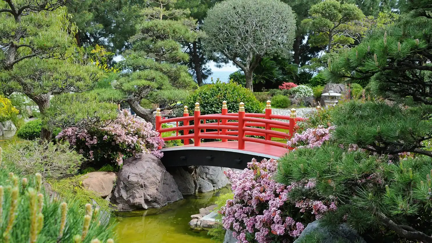 Tokyo travel experiences in a Japanese garden with red bridge, seasonal flowers, and landscaped greenery.