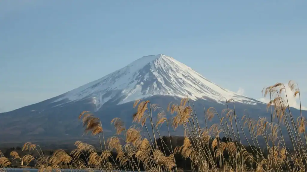 Tokyo travel experiences near Mount Fuji with snow capped peak and tall grass in the foreground.