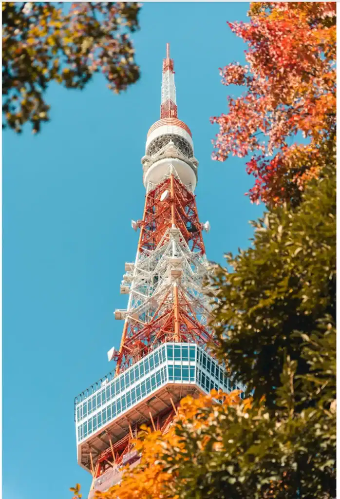 Tokyo Tower framed by autumn leaves under a clear blue sky.