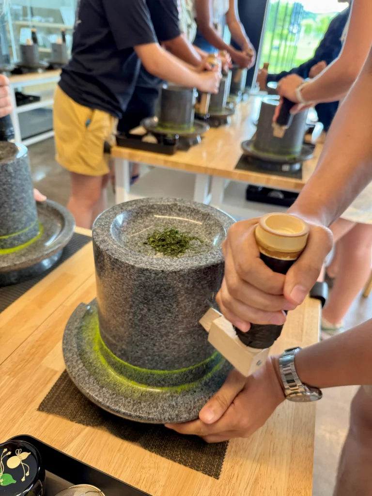 Things to Do in Uji: grinding fresh matcha leaves by hand during a traditional tea experience