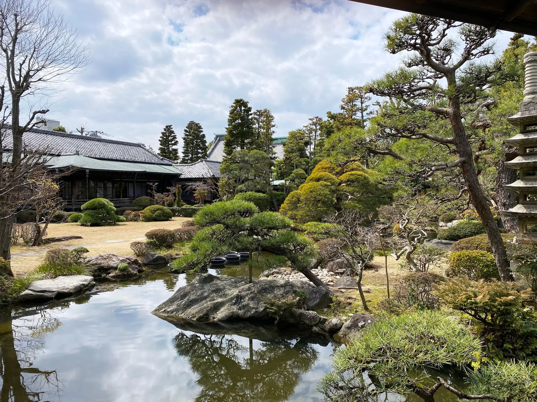 Traditional Japanese garden with a reflective pond, sculpted pine trees, and a temple building in Tokyo, a calm stop on a guided cultural walk.