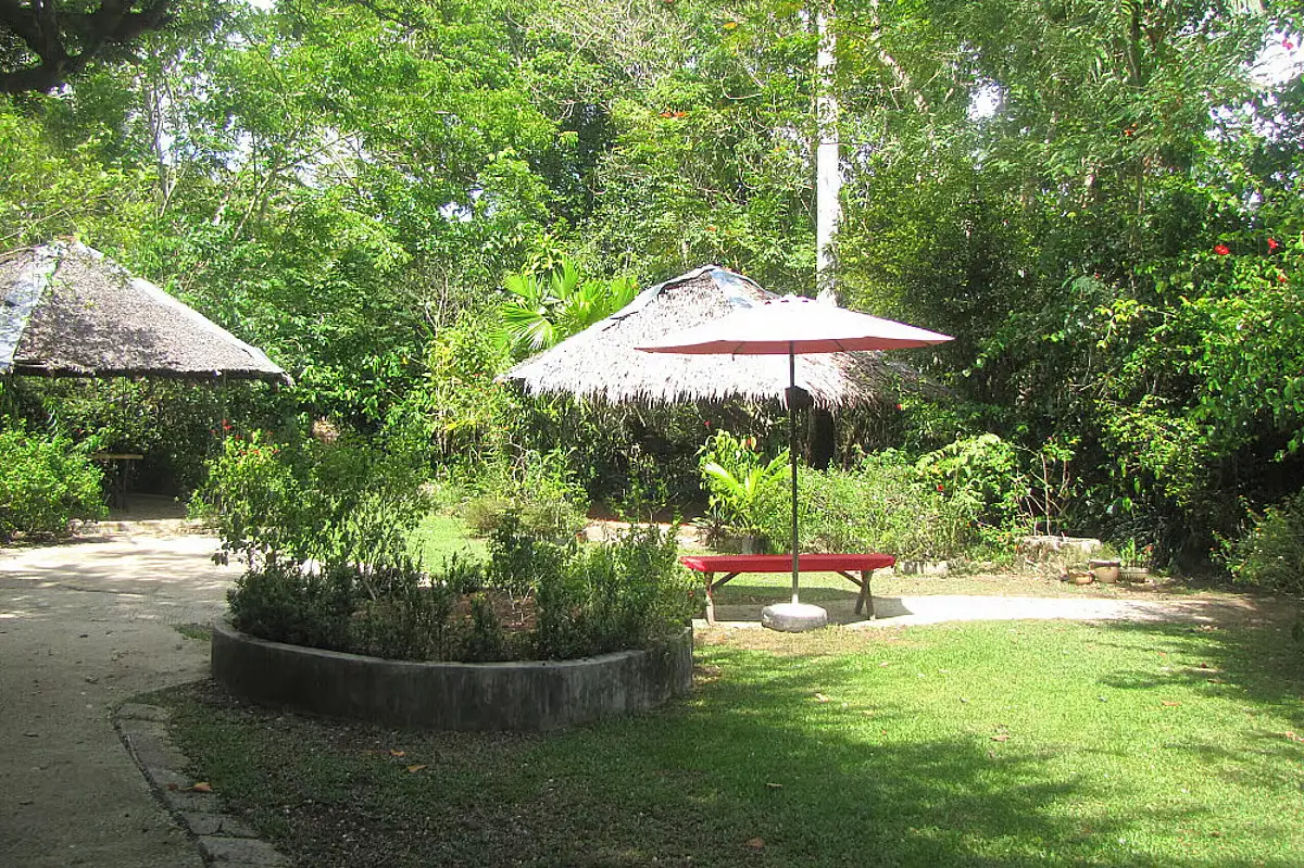 Two huts surrounded by dense forest in Bohol, a sight that can be found in one of the yoga retreats in the Philippines.