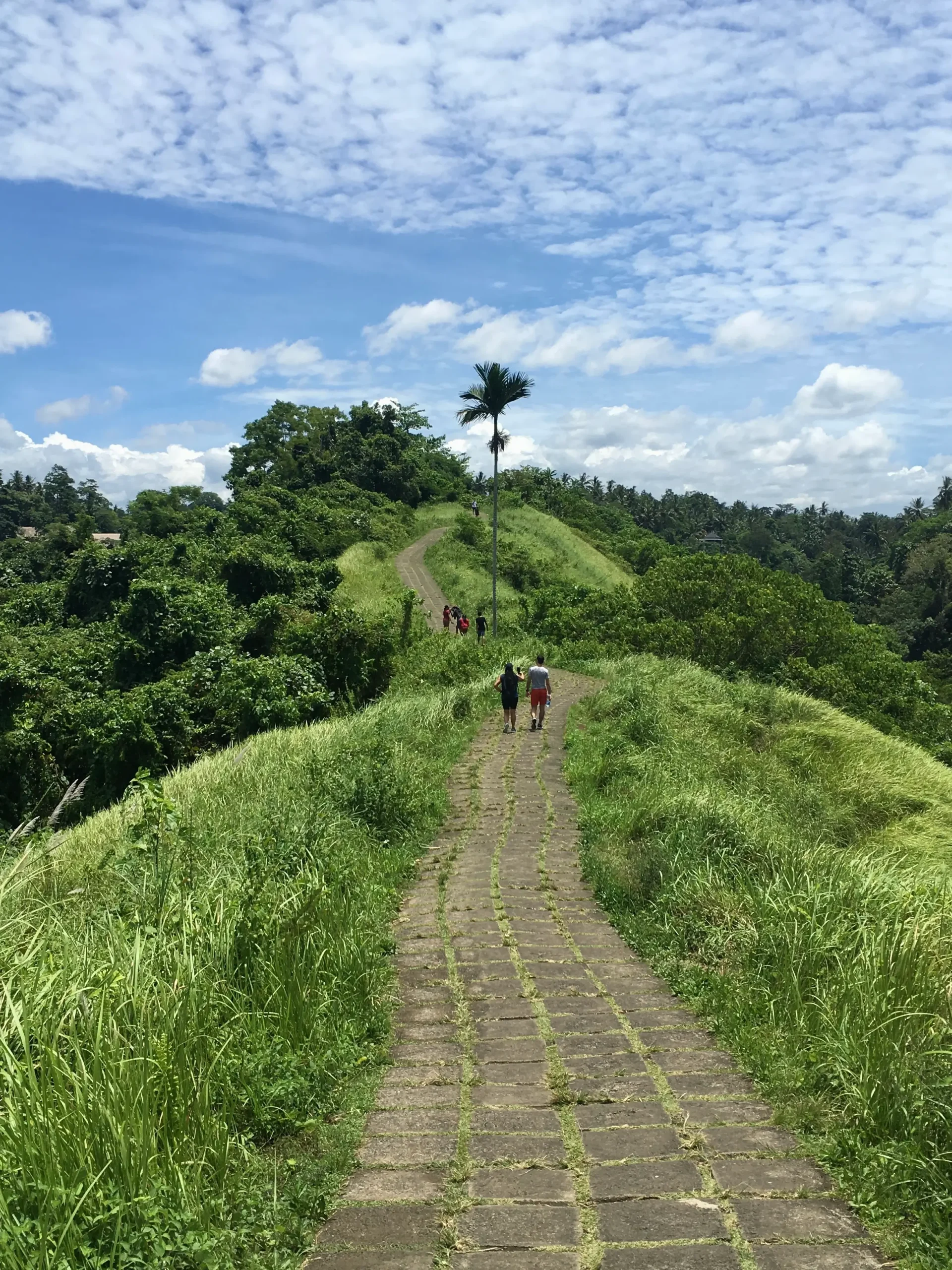 People walking along the Campuhan Ridge surrounded by lush green hills, a peaceful example of things to do in Ubud