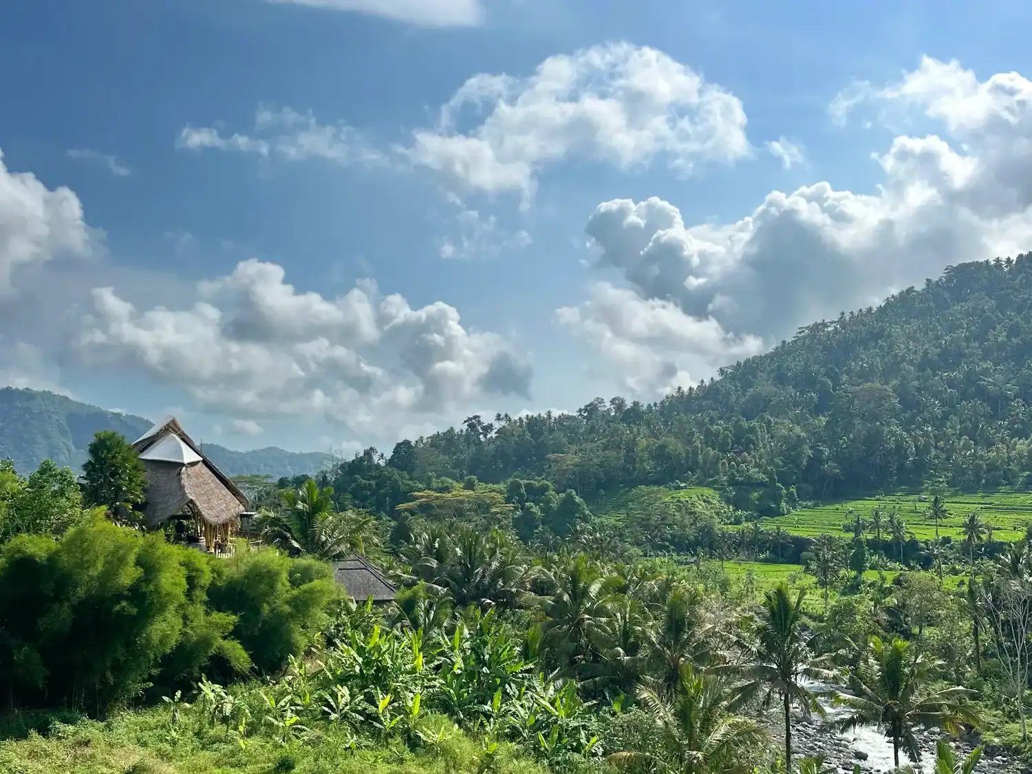 Lush green rice fields and river valley in Sidemen, Bali.