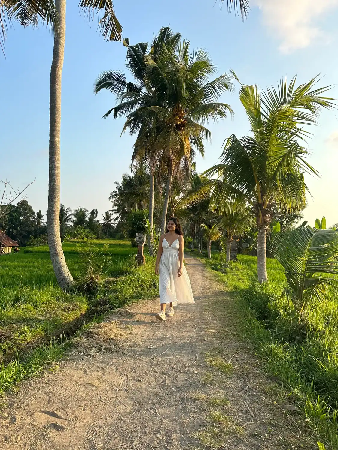 Woman walking along a palm lined path in Ubud, Bali surrounded by rice fields.