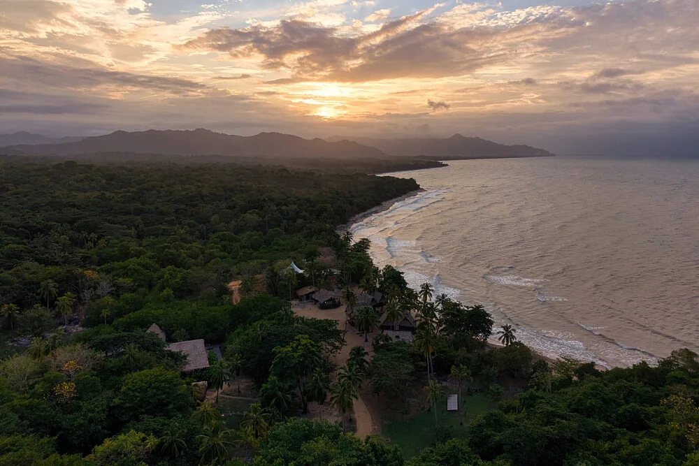 Aerial view of the Palomino coastline at sunset with jungle and a long beach near the ayahuasca and yoga retreat