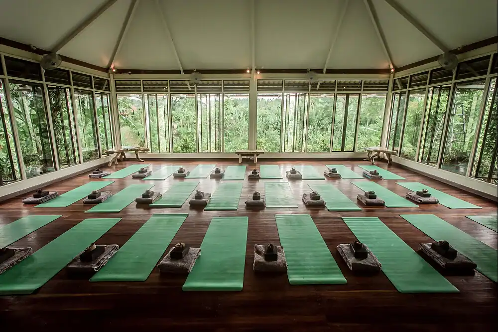 Yoga shala with green mats and jungle views at a silent meditation retreat in North Bali